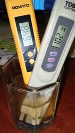 IMG_20251108_173411_198.jpg