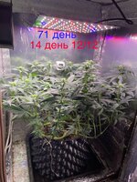 IMG_1535.jpeg