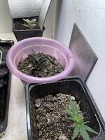 IMG_1544.jpeg