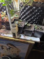 IMG_1551.jpeg