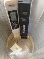 IMG_20251113_161142.jpg