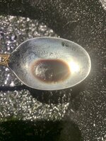 IMG_9246.jpeg