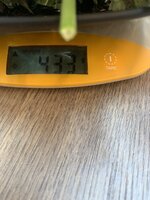 IMG_9228.jpeg