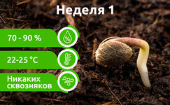 week-1__trpwZggBLSMKl146.jpg