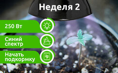week-2__82qa4NX34kPsDEx5.jpg