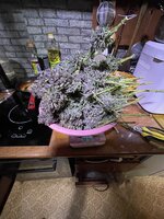 IMG_1623.jpeg