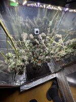 IMG_1635.jpeg