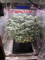 IMG_1615.jpeg
