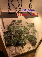 IMG_1652.jpeg