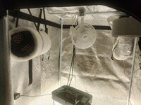 IMG_20251120_135343.jpg