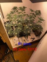 IMG_1665.jpeg