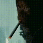 sticker.gif