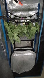 IMG_20251121_173822_780.jpg