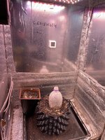 IMG_1683.jpeg