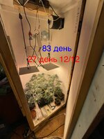 IMG_1681.jpeg