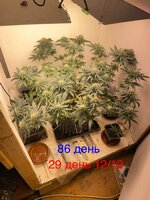 IMG_1707.jpeg