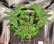 Day 24 (25.11).jpg