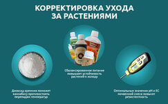 Otkorrektirujte-uhod-za-rasteniyami__t4zc6T5jK6Dcr6w0.jpg