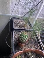 IMG_1769.jpeg