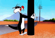49f8dfdf41c337a3999cf9f9991442da.gif