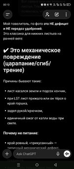 Screenshot_20251202-001308.jpg