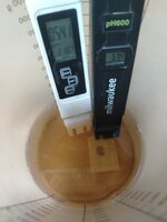 IMG_20251202_161719.jpg