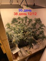IMG_1822.jpeg