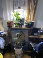 IMG_1833.jpeg