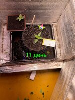 IMG_1846.jpeg