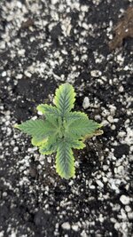 IMG_5918.jpeg