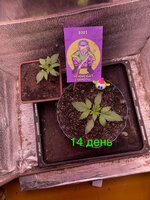 IMG_1878.jpeg