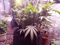 IMG_20250430_073302.jpg