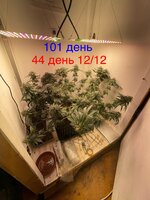 IMG_1897.jpeg