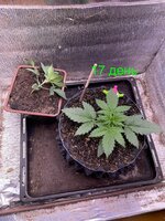 IMG_1924.jpeg