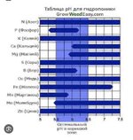 IMG_3370.jpeg