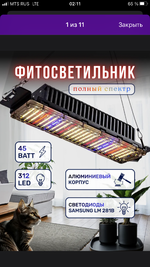 IMG_2457.png
