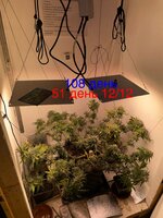 IMG_1990.jpeg