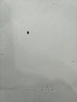 IMG_20251217_171123_956.jpg