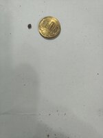 IMG_20251217_171155_679.jpg
