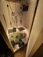 IMG_2056.jpeg