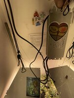 IMG_2057.jpeg