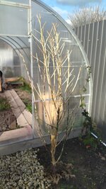 IMG_20251224_134355.jpg