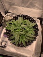 IMG_9480.jpeg
