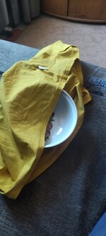 IMG_20251225_134240.jpg