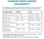 SVET_LUX.jpg