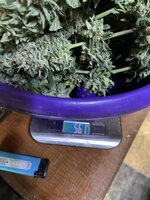 IMG_2183.jpeg