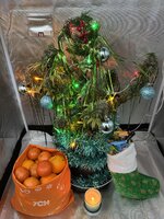 IMG_2701.JPG