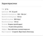 IMG_2213.jpeg