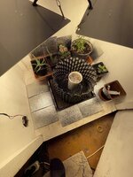 IMG_2210.jpeg