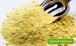 sernyj-poroshok__52w5V0rbY8tQcmQy.jpg sernyj-poroshok__52w5V0rbY8tQcmQy.jpg